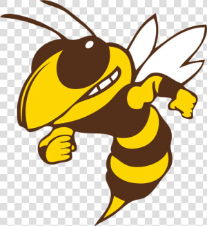 Transparent Hornets Logo Png   Calhoun Yellow Jackets  Png Download