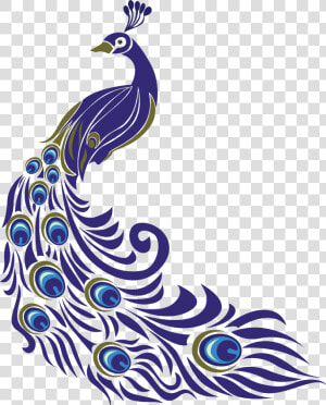 Transparent Mor Pankh Png   Drawing Of Peacock With Colour  Png Download