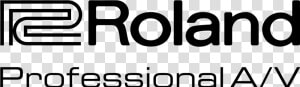 Roland Professional Av  HD Png Download