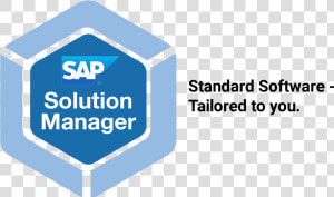 Solution Manager   Focused Solutions   Sap Solution Manager Logo Png  Transparent Png