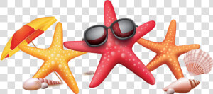 Vector Color Seaside Starfish Sunglasses Creative   Summer Star Fish Png  Transparent Png