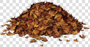 Autumn Leaves Pile Of Leaves Png  Transparent Png