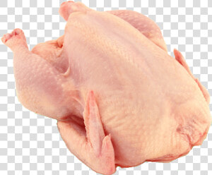 Chicken breast   Pollo Png  Transparent Png