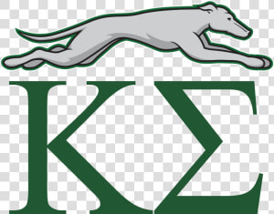 Enmu Greyhound   Eastern New Mexico Greyhounds  HD Png Download