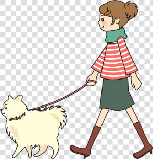 Labrador Retriever Pet Sitting Dog Walking Woman   Person Walking Dog Clipart  HD Png Download