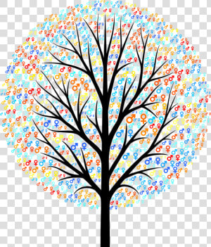 Plant leaf symmetry   Bare Tree Silhouette Png  Transparent Png