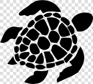 Decal Bumper Sticker Turtle Car   Black And White Turtle  HD Png Download