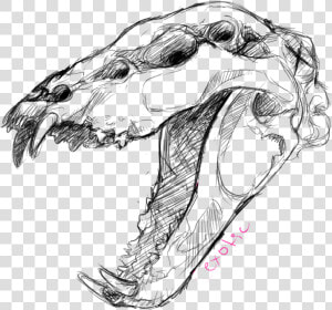 Animal Skull Drawing At Getdrawings   Drawings Of Animal Skulls  HD Png Download