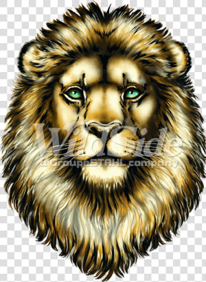 Big Face Roaring Lion Adult T shirt The Mountain     Masai Lion  HD Png Download