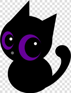 Purple Cat  Black Cats  Pretty Pictures  Cat Eyes    Cat  HD Png Download