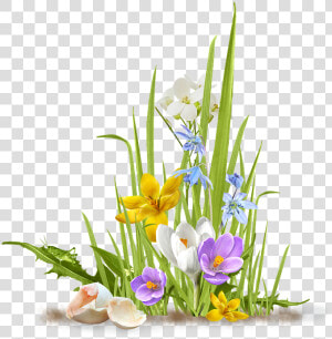 Spring  Flower  Crocus  Saffron  Grass  Shell  Egg   Flowers And Grass Png  Transparent Png