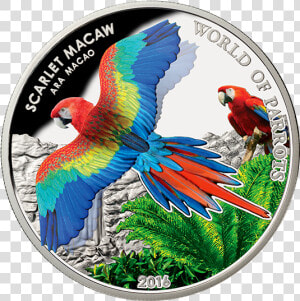 World Of Parrots Coins  HD Png Download