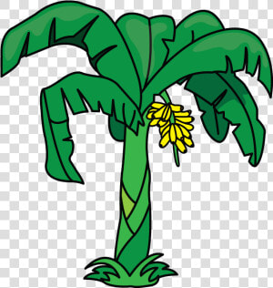 Palm tree   Banana Tree Easy To Draw  HD Png Download