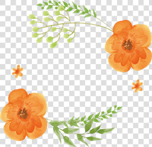 Flowers Orange Painting Flower   Orange Watercolor Flowers Png  Transparent Png