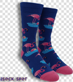 Birdbath Men S Socks In Blue By Socksmith   Sock  HD Png Download