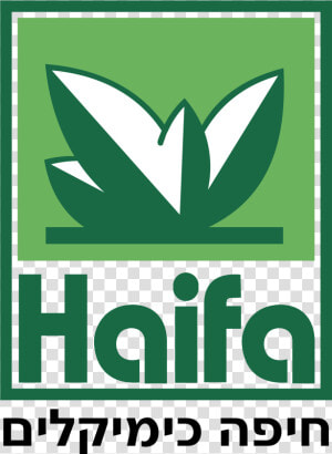 Haifa Chemical Logo Png Transparent   Haifa  Png Download