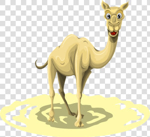 Clip Art Did You Know Interesting   Camel  HD Png Download