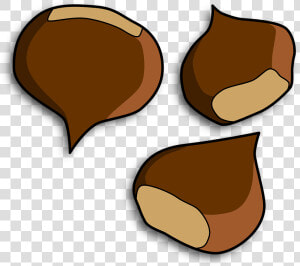 Transparent Chestnut Png   Chestnut Clipart  Png Download