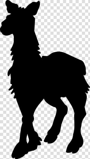 Mule Foal Stallion Mustang Donkey   Silhouette  HD Png Download