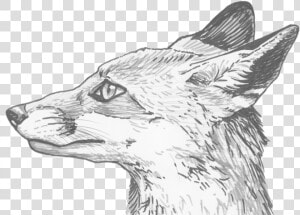 Download Fox Eyes Png Clipart For Designing Projects   Fox From Profile Drawing  Transparent Png