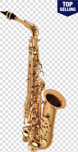 Selmer La Voix Ii Alto Sax   Selmer Sas280 La Voix Ii Alto Saxophone Outfit  HD Png Download