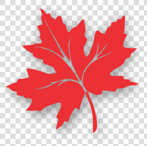 Transparent Maple Leaves Clipart   Chinar Leaf Kashmir Logo  HD Png Download