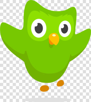 Duolingo Logo  Owl   Duolingo Owl Png  Transparent Png