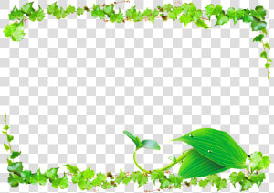 Leaf Green Vine   Leaves Border Design Png  Transparent Png