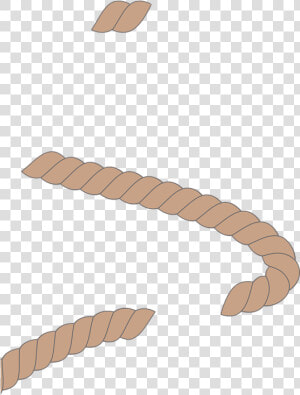 Rope  Rope Brush  Brown   เชือก Png  Transparent Png