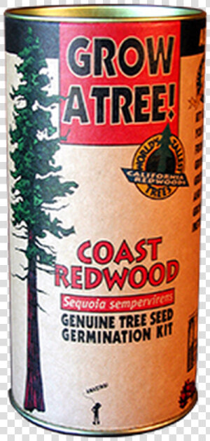 Coast Redwood Grow A Tree Kit   Beer  HD Png Download