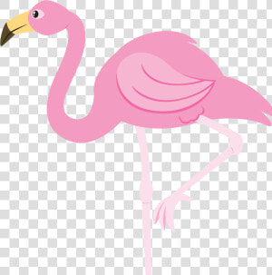 Clip Art Flamingo Vector Png   Flamingo Clipart Png  Transparent Png