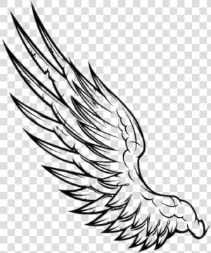 Sleeve Tattoo Vector Graphics Clip Art Angel   Une Aile D Ange  HD Png Download