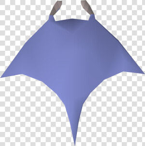 Raw Manta Ray   Competitive Swimwear  HD Png Download