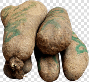 Yam Tuber Png  Transparent Png