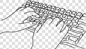 Keyboard Hands Computer Free Photo   Hands On Keyboard Drawing  HD Png Download