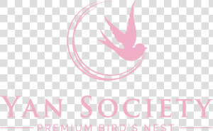 Yan Society Premium Bird S Nest Online Store   Lake County  Florida  HD Png Download