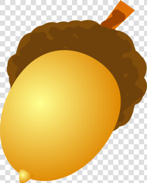 Acorn Png Image   Acorn Clip Art  Transparent Png