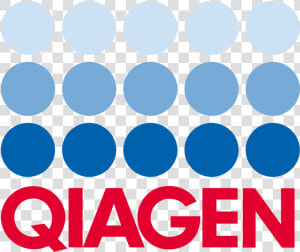 Qiagen Logo  HD Png Download