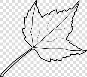 Leaf Outline Tree Outline With Leaves Clipart   Leaf Clipart Black And White  HD Png Download