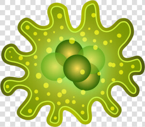 Smart Infectious Diseases For   Bacterias Png  Transparent Png