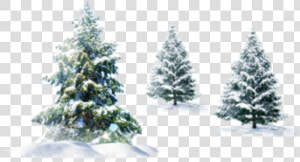  ftestickers  winter  snow  landscape  trees  pine   Transparent Background Christmas Snow Png  Png Download