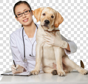 Veterinarian Philippines  HD Png Download