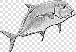 Transparent Ocean Fish Png   Ikan Kue Png  Png Download