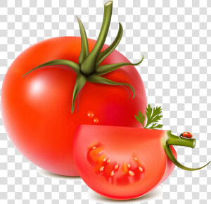 Tomato Png Image   Tomato Vector Png  Transparent Png