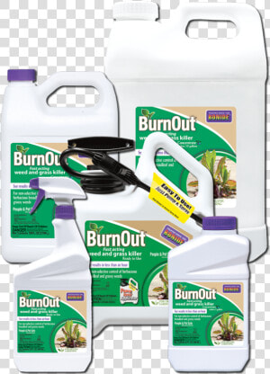 Burnout®   Bottle  HD Png Download