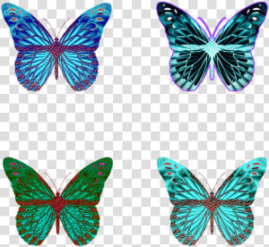 Butterfly  Butterflies  Iridescent  Wings  Op art  HD Png Download