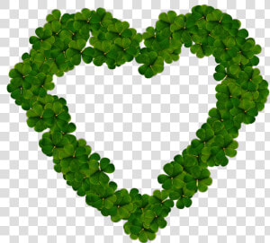 Corazón De Muchos Tréboles   Green Love Heart Png  Transparent Png