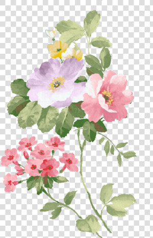  boquet  bouquet  watercolor  watercolour  flowers   Watercolor Painting  HD Png Download