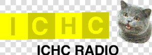 Ichc Radio Logo Old   Happy Cat  HD Png Download