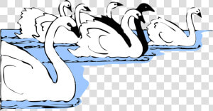 Transparent Swimmer Clipart Free   Group Of Swan Cartoon  HD Png Download